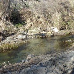 Willow Glen crossing wade thru